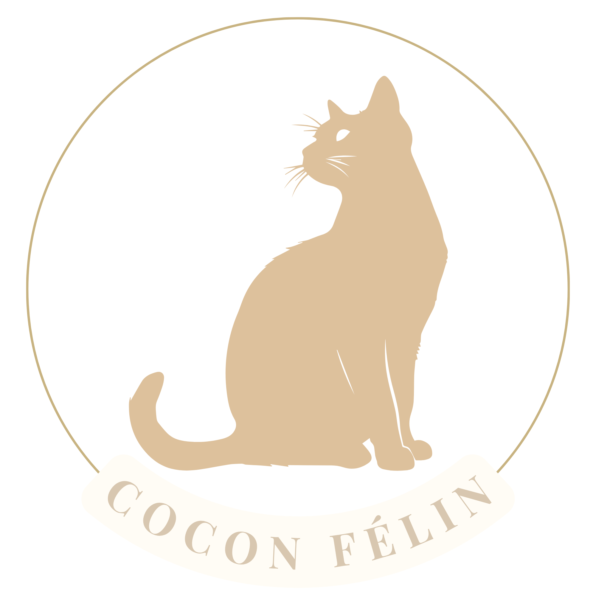 Cocon Félin